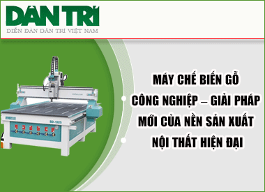 dan-tri2